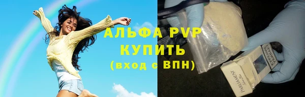 шишки Рославль