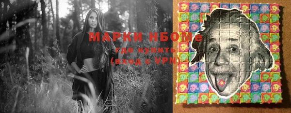 шишки Рославль