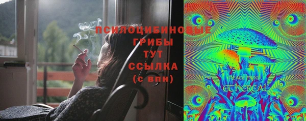 шишки Рославль