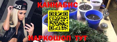 гашик Бузулук
