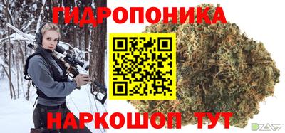 гашик Бузулук