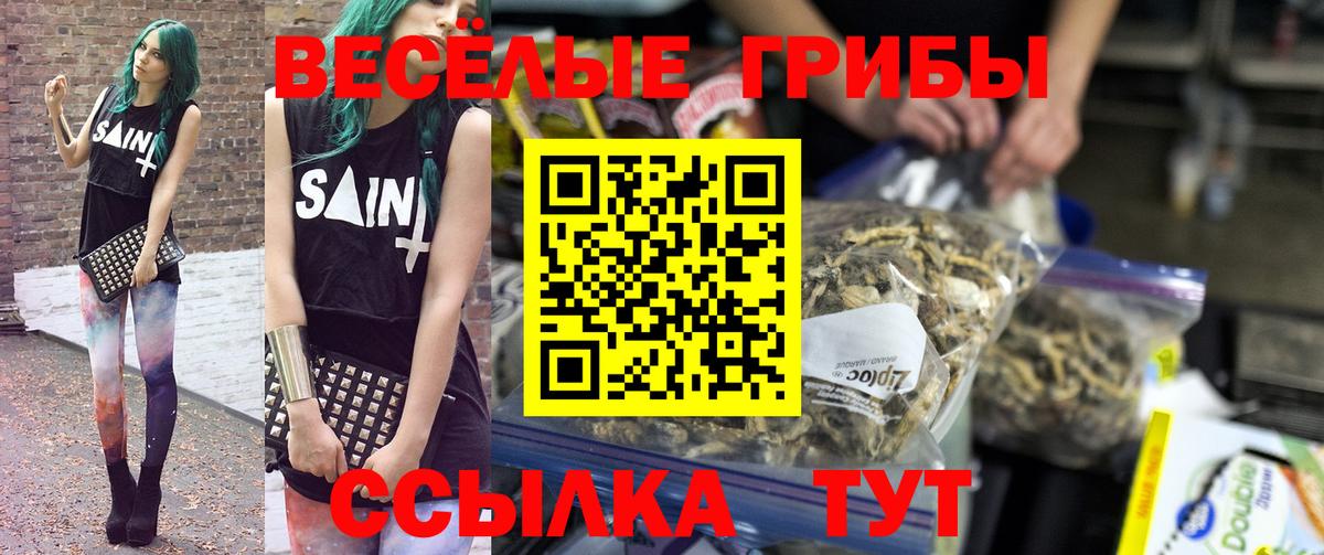 Псилоцибиновые грибы Cubensis Стерлитамак